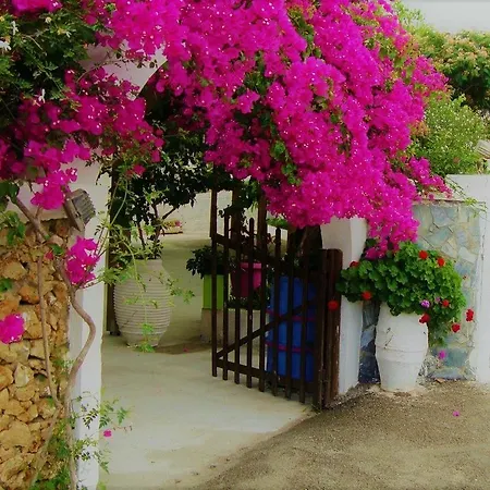 Lefka Hotel