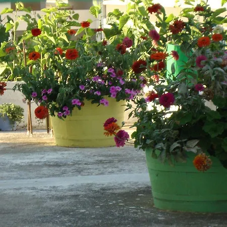 Lefka